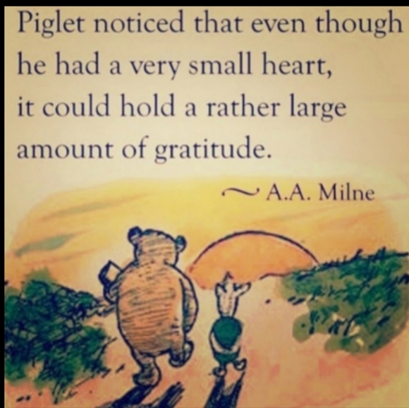 HERBS 🌱 VTG Over and Back HERBS Portugal Pasta🍝 SALAD SERVICE BOWL - Picture 8 of 14